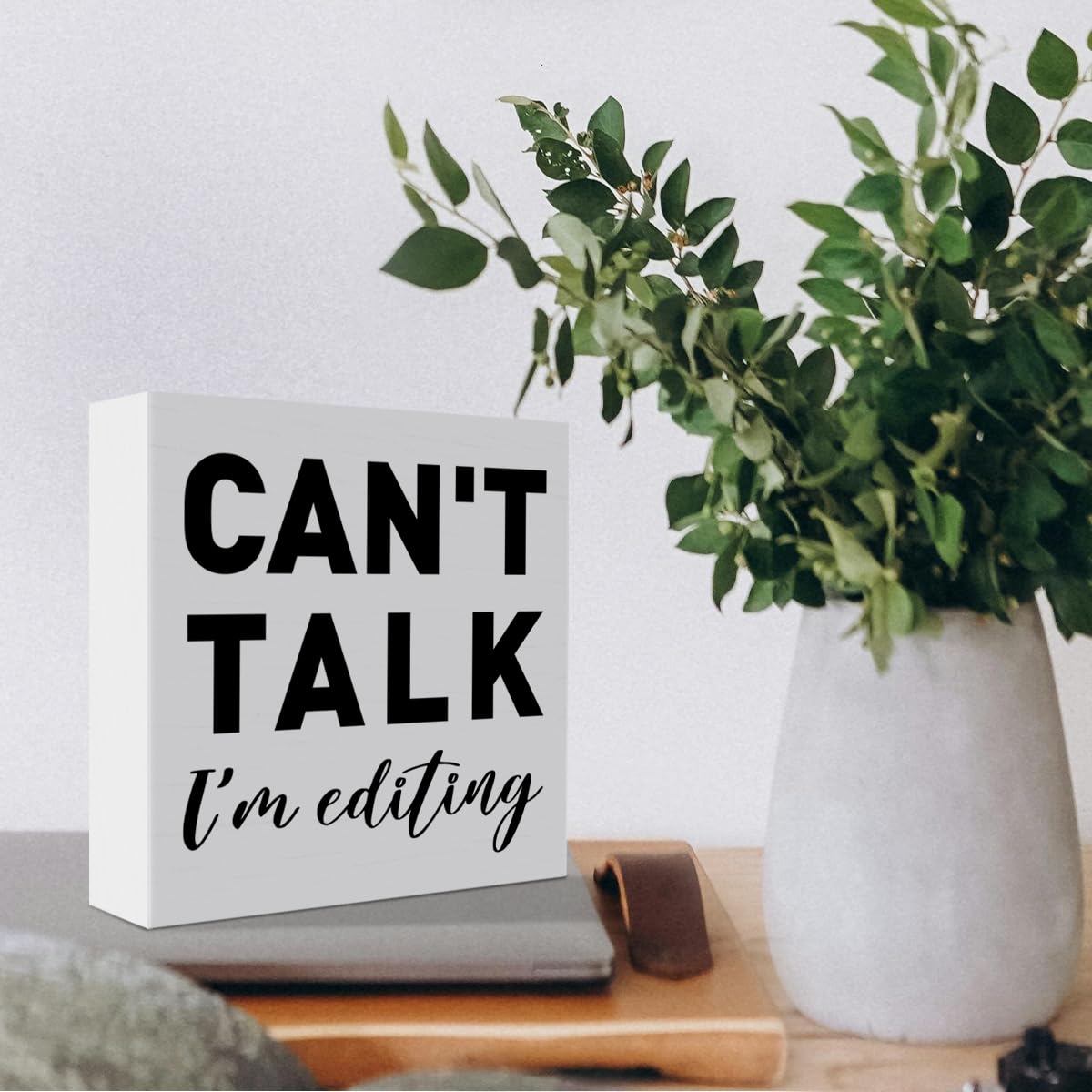 Photography Lovers Gifts for Men Women, Photographer Thank You Gift Christmas Birthday Gift for Photography Camera Lovers Photography Office Desk Decor Wooden Sign, Can't Talk