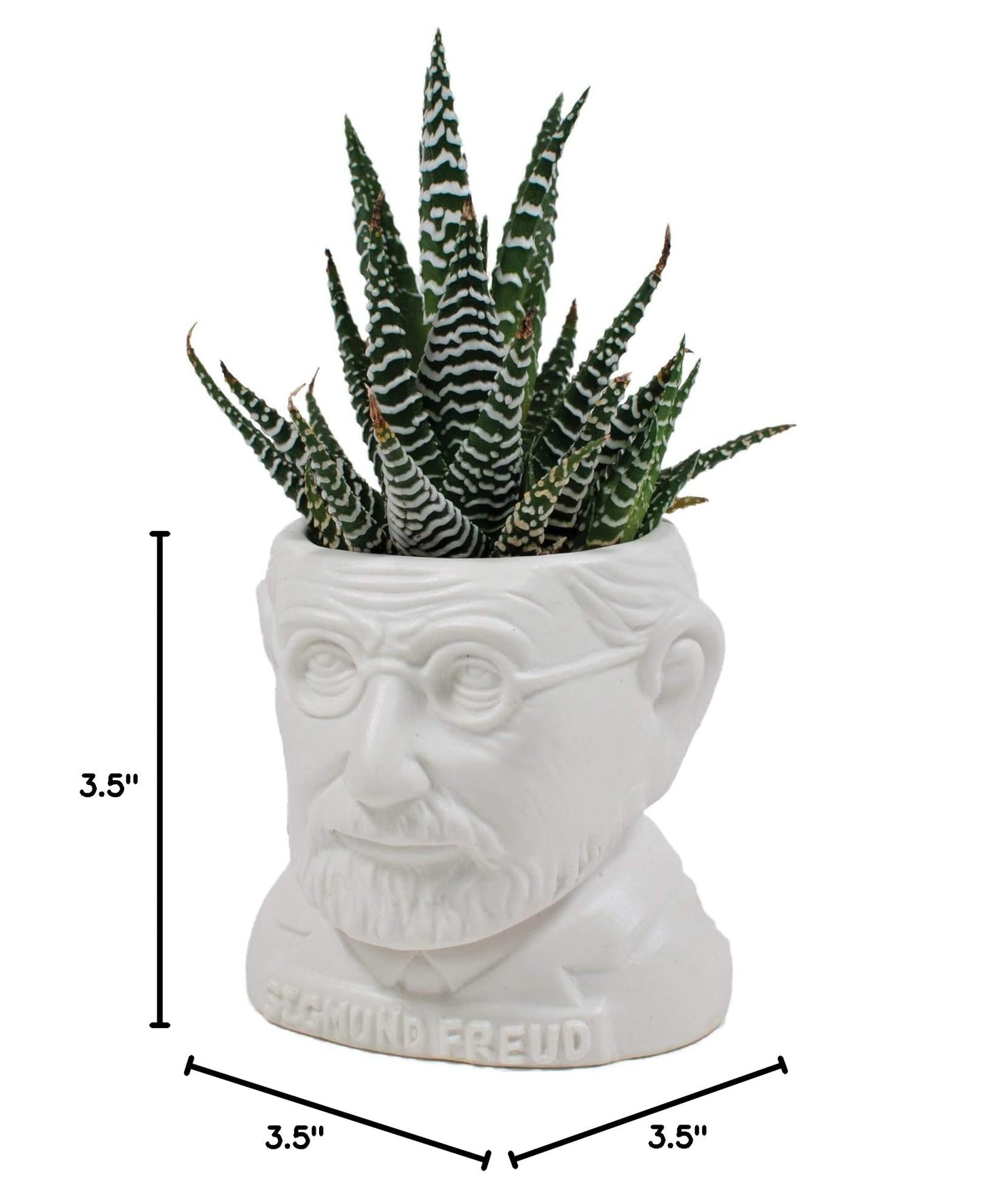 The Unemployed Philosophers Guild Sigmund Freud Bust Ceramic Planter