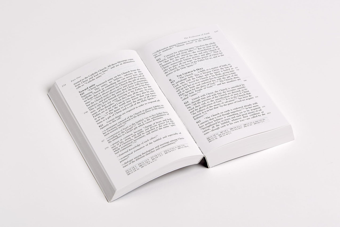 Catechism of the Catholic Church: Complete and Updated