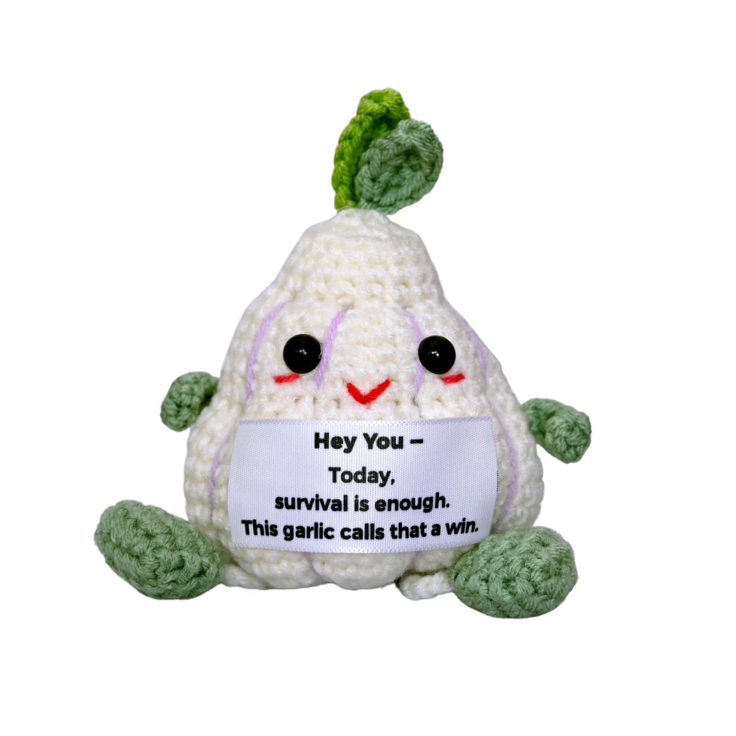 Handmade Crochet Decorative Gift with Meaningful Quote – Garlic Friends Design – Cute Design Collection for Men and Women, Romantic Gift for Valentine's Day, Birthday, and Christmas