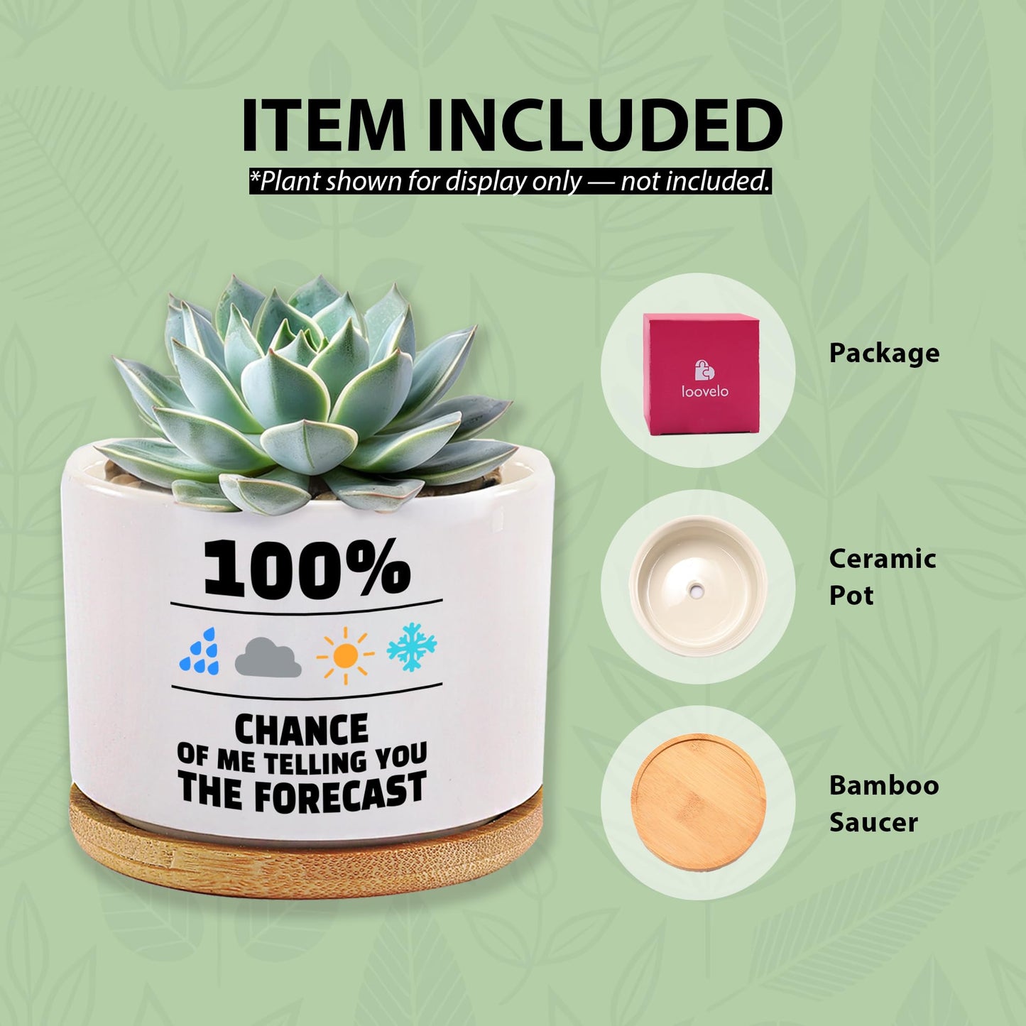 100 Percent Chance of Me Telling You The Forecast Meteorologist Gifts Weatherman Meteorology Weather Ceramic Succulent Plant Pot with Bamboo Tray Home Office Decor 3.5 Inch White (No Plants)