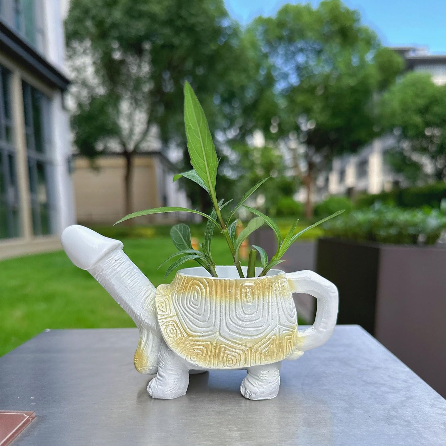 Penis Turtle Planter Turtle Flower Pot Mischievous Joke Gift Indoor and Outdoor Garden Decoration