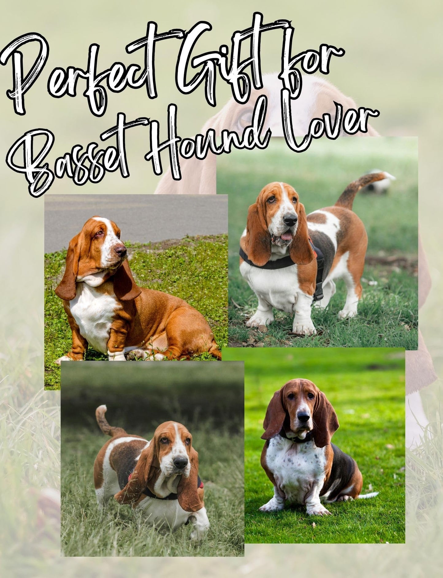 Onebttl Basset Hound Gifts Coaster, Ceramic, Set of 6, with Gift Box, Absorbent with Cork Base, Gifts for Basset Hound Lovers, Home Decor for Housewarming, Thanksgiving, Birthday, Christmas