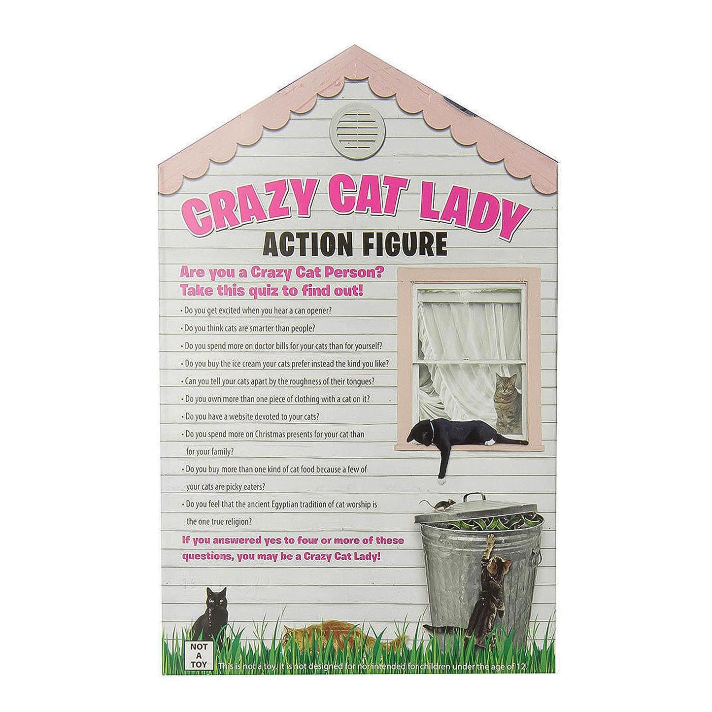 Accoutrements Crazy Cat Lady Action Figure Multicolored, 8"