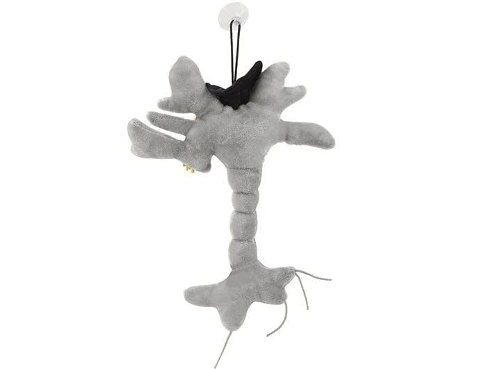 GIANTmicrobes Graduation Brain Cell Plush - Celebrate with our signature Brain Cell plush donning a graduation cap and tassel, Uniquely Fun Student Gift to Commemorate Achievements