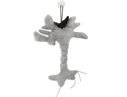 GIANTmicrobes Graduation Brain Cell Plush - Celebrate with our signature Brain Cell plush donning a graduation cap and tassel, Uniquely Fun Student Gift to Commemorate Achievements