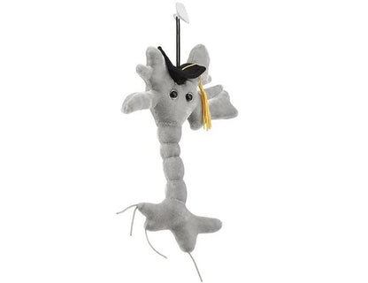 GIANTmicrobes Graduation Brain Cell Plush - Celebrate with our signature Brain Cell plush donning a graduation cap and tassel, Uniquely Fun Student Gift to Commemorate Achievements