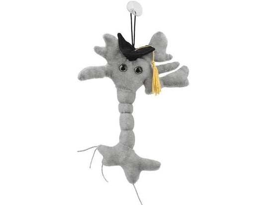 GIANTmicrobes Graduation Brain Cell Plush - Celebrate with our signature Brain Cell plush donning a graduation cap and tassel, Uniquely Fun Student Gift to Commemorate Achievements