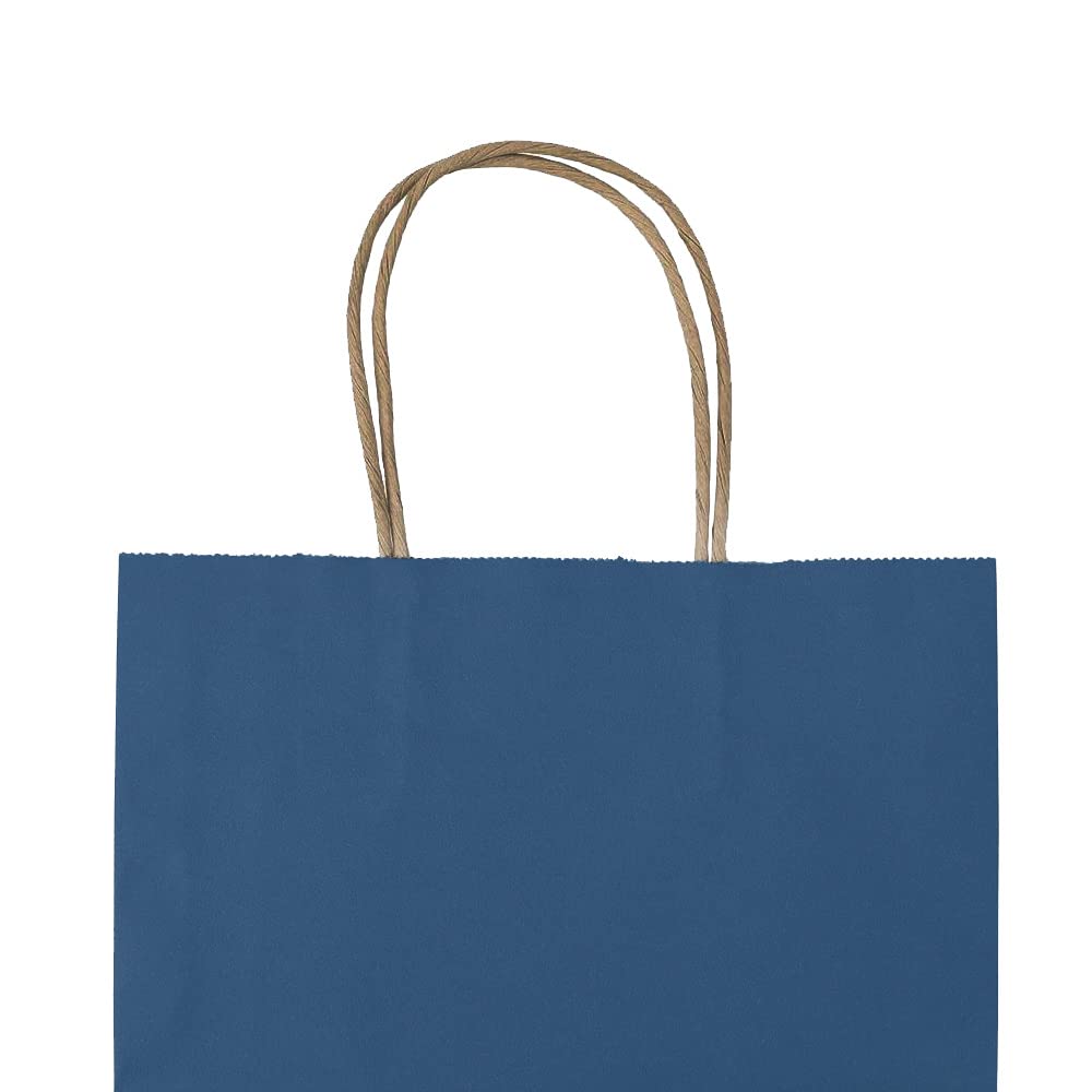 bagmad 100 Pack 8x4.75x10 Inch Medium Blue Gift Paper Bags with Handles Bulk, Kraft Bags, Craft Grocery Shopping Retail Party Favors Wedding Business Sacks (Blue, 100pcs)