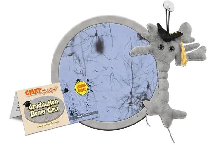 GIANTmicrobes Graduation Brain Cell Plush - Celebrate with our signature Brain Cell plush donning a graduation cap and tassel, Uniquely Fun Student Gift to Commemorate Achievements