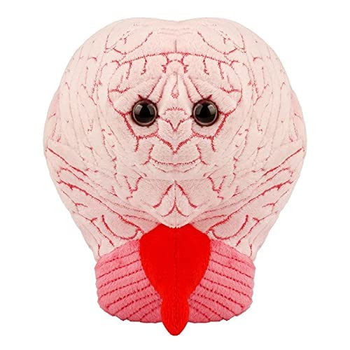 GIANT MICROBES Brain Organ Plush, Brain Model Anatomy, Psychology Gifts for Students, Medical Student Gift, Therapist Office Decor, Anatomy Models, Neuroscience Gifts, Neurology Gift