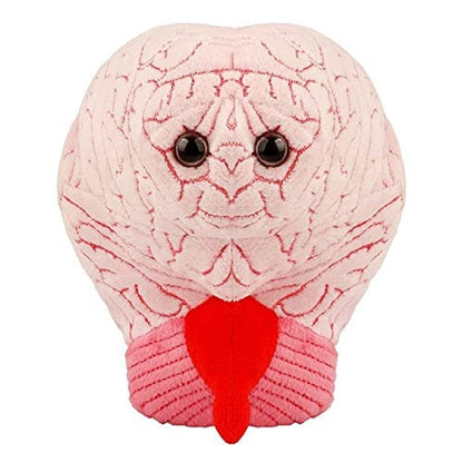 GIANT MICROBES Brain Organ Plush, Brain Model Anatomy, Psychology Gifts for Students, Medical Student Gift, Therapist Office Decor, Anatomy Models, Neuroscience Gifts, Neurology Gift