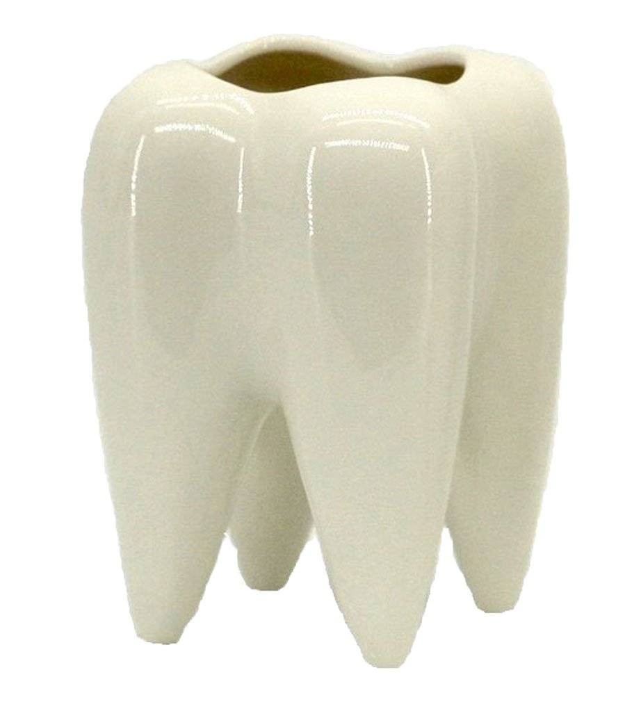 Ceramic Tooth Shaped Pen Pencil Toothbrush Holder Pot Succulent Plant Pot Home Office School Dentists Gift Ideal Gifts for Women, Mom or Birthdays