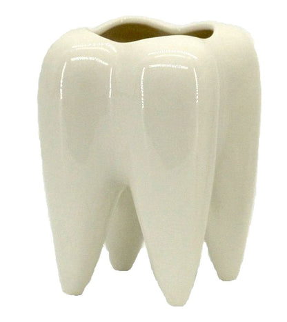 Ceramic Tooth Shaped Pen Pencil Toothbrush Holder Pot Succulent Plant Pot Home Office School Dentists Gift Ideal Gifts for Women, Mom or Birthdays