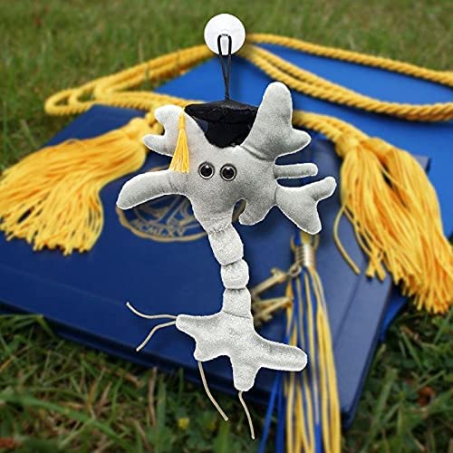 GIANTmicrobes Graduation Brain Cell Plush - Celebrate with our signature Brain Cell plush donning a graduation cap and tassel, Uniquely Fun Student Gift to Commemorate Achievements
