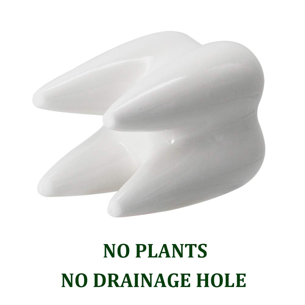 YOFIT Dental Assistant Appreciation Gifts – 4 Pack Ceramic Tooth Planter, Dental Hygienist Gifts Office Decor, Dentist Gift for Coworkers Women Student, White Succulent Flower Pot, 3.7"