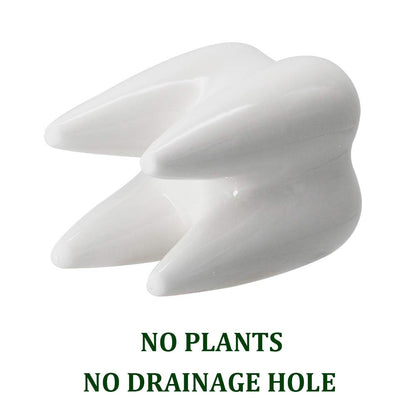 YOFIT Dental Assistant Appreciation Gifts – 4 Pack Ceramic Tooth Planter, Dental Hygienist Gifts Office Decor, Dentist Gift for Coworkers Women Student, White Succulent Flower Pot, 3.7"