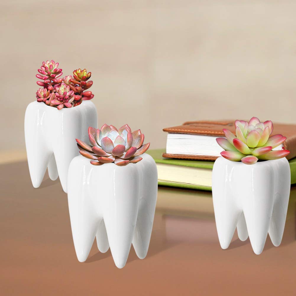 YOFIT Dental Assistant Appreciation Gifts – 4 Pack Ceramic Tooth Planter, Dental Hygienist Gifts Office Decor, Dentist Gift for Coworkers Women Student, White Succulent Flower Pot, 3.7"