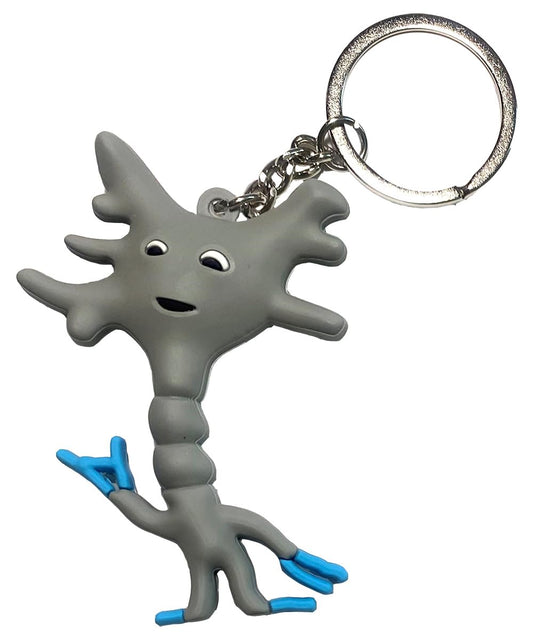 Little Grey Cells: Smart Brain Cell Keychain by GIANTmicrobes-Learn About Brain Science with this Unique Neuron, Fun Gift for Scientists, Doctors, Neuroscience and Psychology fans