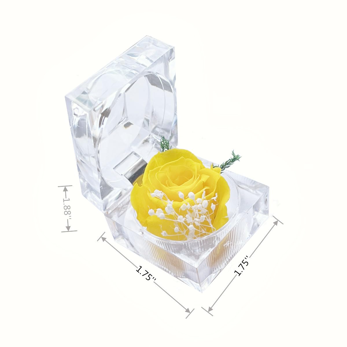 Preserved Rose Real Fresh Rose in Mini Clear Ring Box, Eternal Flower Rose Gifts for Women Mom Girlfriend Grandma, Mothers Day, Anniversary, Valentines, Christmas, Birthday (Yellow)