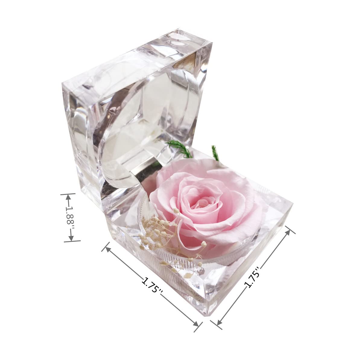 Preserved Rose Real Forever Rose in Mini Clear Ring Box, Eternal Flower Rose Gifts for Women Mom Girlfriend Grandma, Mothers Day, Anniversary, Valentines, Christmas, Birthday (Pink)