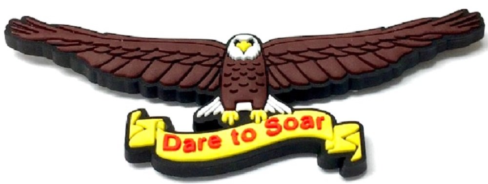11 Piece Keepsake Box with Signed Book - Eagle Scout Gifts for Court of Honor Ceremony - Dare to Soar Edition Celebration Set with Ornament Pin and Challenge Coin