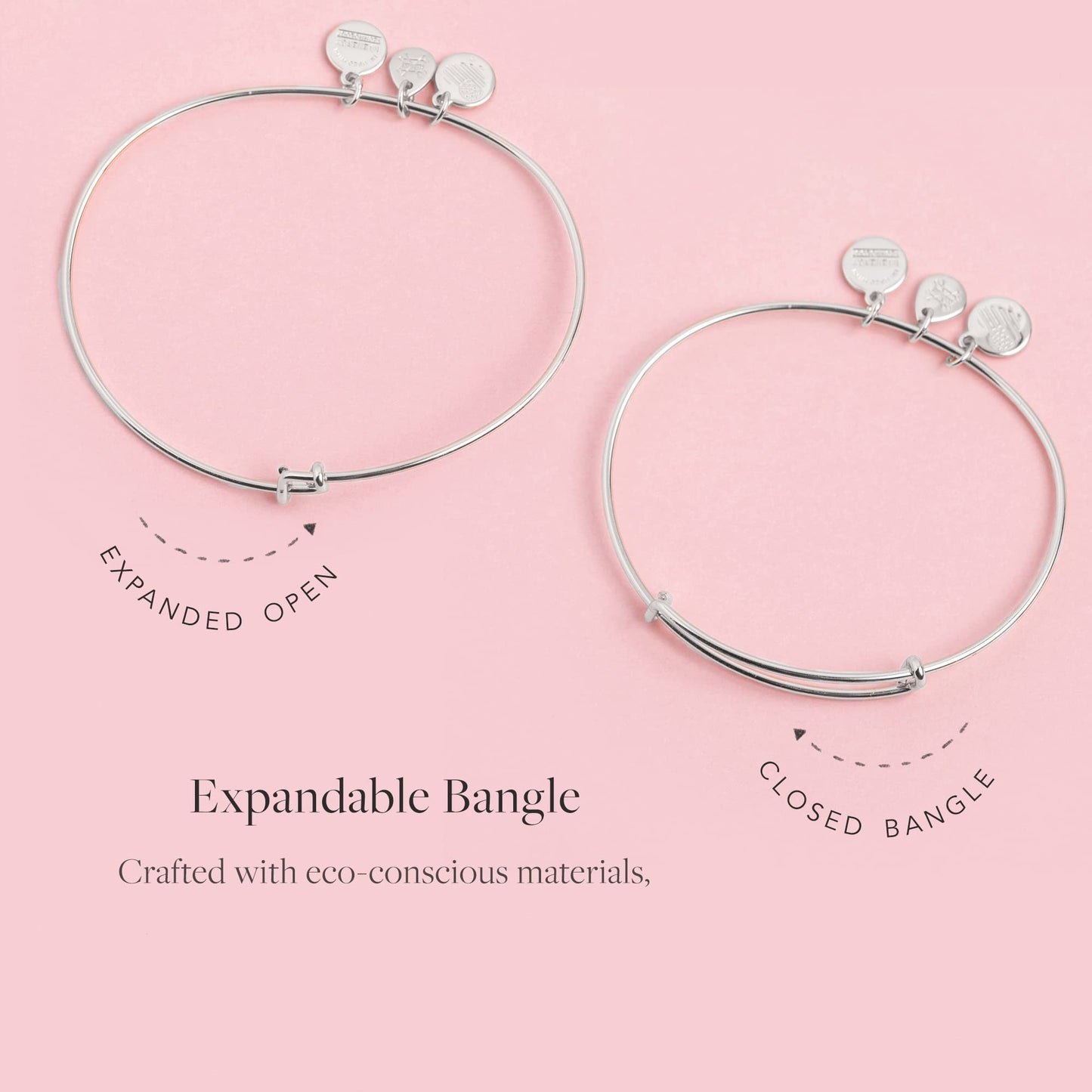 Alex and Ani Happy Retirement' Charm Bangle