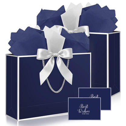 Ethhqu Fancy Large Gift Bags with Handles, 2 Pack 12.6x10x4 Inches - Includes Tissue Paper & Cards for Birthday, Valentine's Day, Baby Shower, Wedding, Anniversary & Holiday Gifts (Blue and Silver)