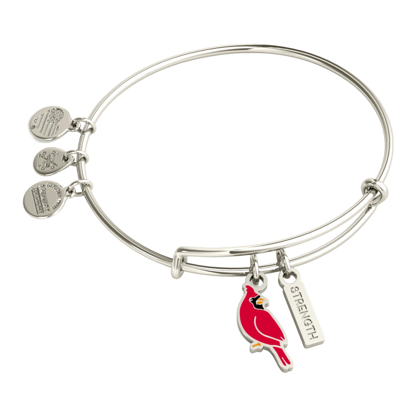 Alex and Ani Strength' Cardinal Duo Charm Bangle Bracelet