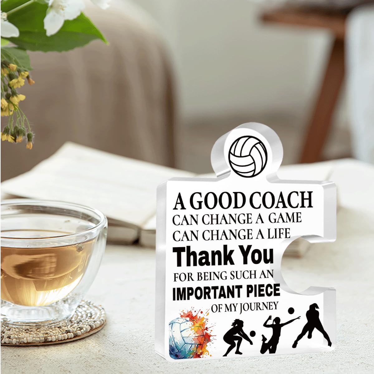 Inspirational Coach Thank You Appreciation Gifts Thank you for Being Such an Important Piece of my journey Acrylic Puzzle Volleyball Coach Gifts for Home Office Desk Table Decor
