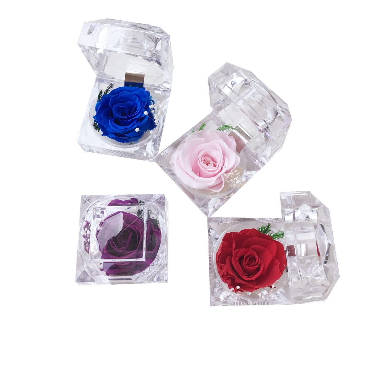 Preserved Rose Real Forever Rose in Mini Clear Ring Box, Eternal Flower Rose Gifts for Women Mom Girlfriend Grandma, Mothers Day, Anniversary, Valentines, Christmas, Birthday (Pink)