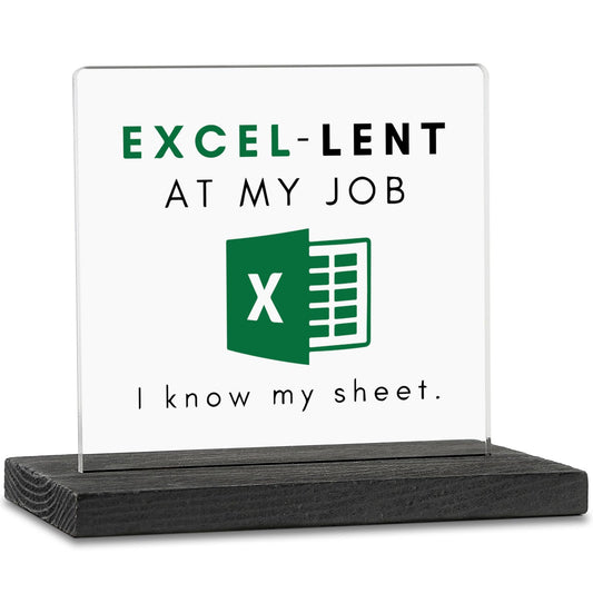 Accountant Gifts for Women, Men, Funny CPA, Spreadsheet, Excel Gift Idea For Coworkers, Accounting, Boss, Worker, Colleague, Friend Acrylic Desk Decorative Sign ZBB43