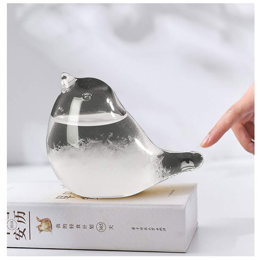 Storm Glass Weather Forecaster, Perfect Gifts for Women, Weather Predictor Barometer Weather Station for Home Office Desktop Decor, Unique Christmas Birthday Valentines Day Gifts for Women Girlfriend