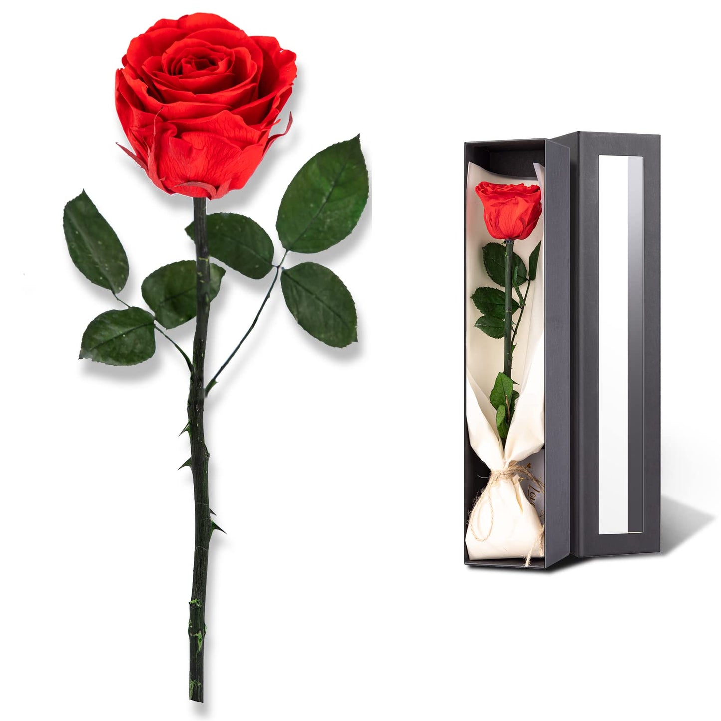 Flowers for Delivery Prime, Preserved Roses Flower Gifts for Women, Real Roses Single Rose Presents for Her, Mom Birthday Gifts from Daughter, Valentines Flowers Red Roses