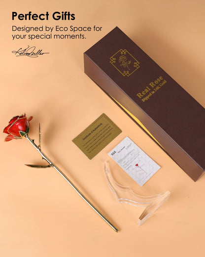 Gold Dipped Rose - Hand-Dipped Real 24K Gold Rose - Genuine One of a Kind - Eternal Romantic Present for Her - Perfect for Valentines, Mother's Day, Anniversary, Birthday (Red)
