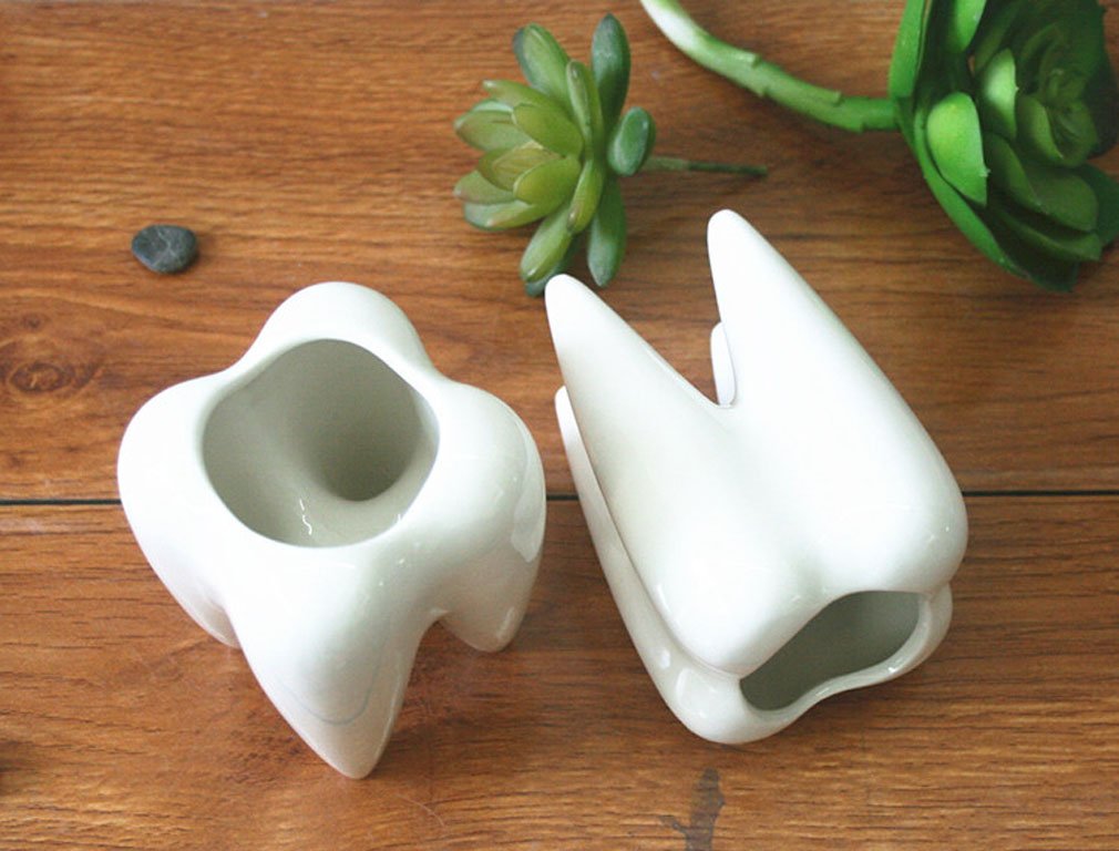Ceramic Tooth Shaped Pen Pencil Toothbrush Holder Pot Succulent Plant Pot Home Office School Dentists Gift Ideal Gifts for Women, Mom or Birthdays