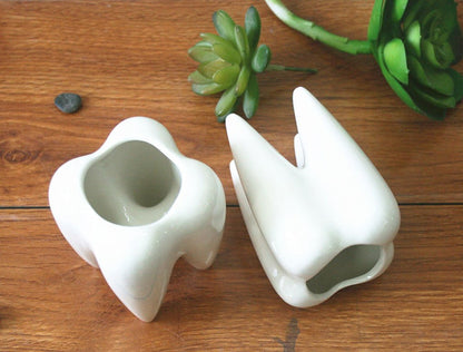 Ceramic Tooth Shaped Pen Pencil Toothbrush Holder Pot Succulent Plant Pot Home Office School Dentists Gift Ideal Gifts for Women, Mom or Birthdays
