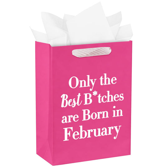 WRAPAHOLIC 13" Large Funny Birthday Month Gift Bag with Tissue Paper - Best Bitches Born in February Humor Bday Gift Bags for Women Best Friends Birthday