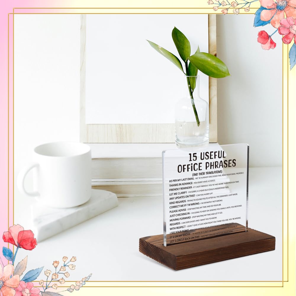 Silly Office Gifts for Women, Humorous Office Gifts for Coworkers, Managers, Sarcastic Office Gift for Coworkers, Managers,Modern Acrylic Desk Plaque, 10 x 10 x 1.5 cm,XXD63