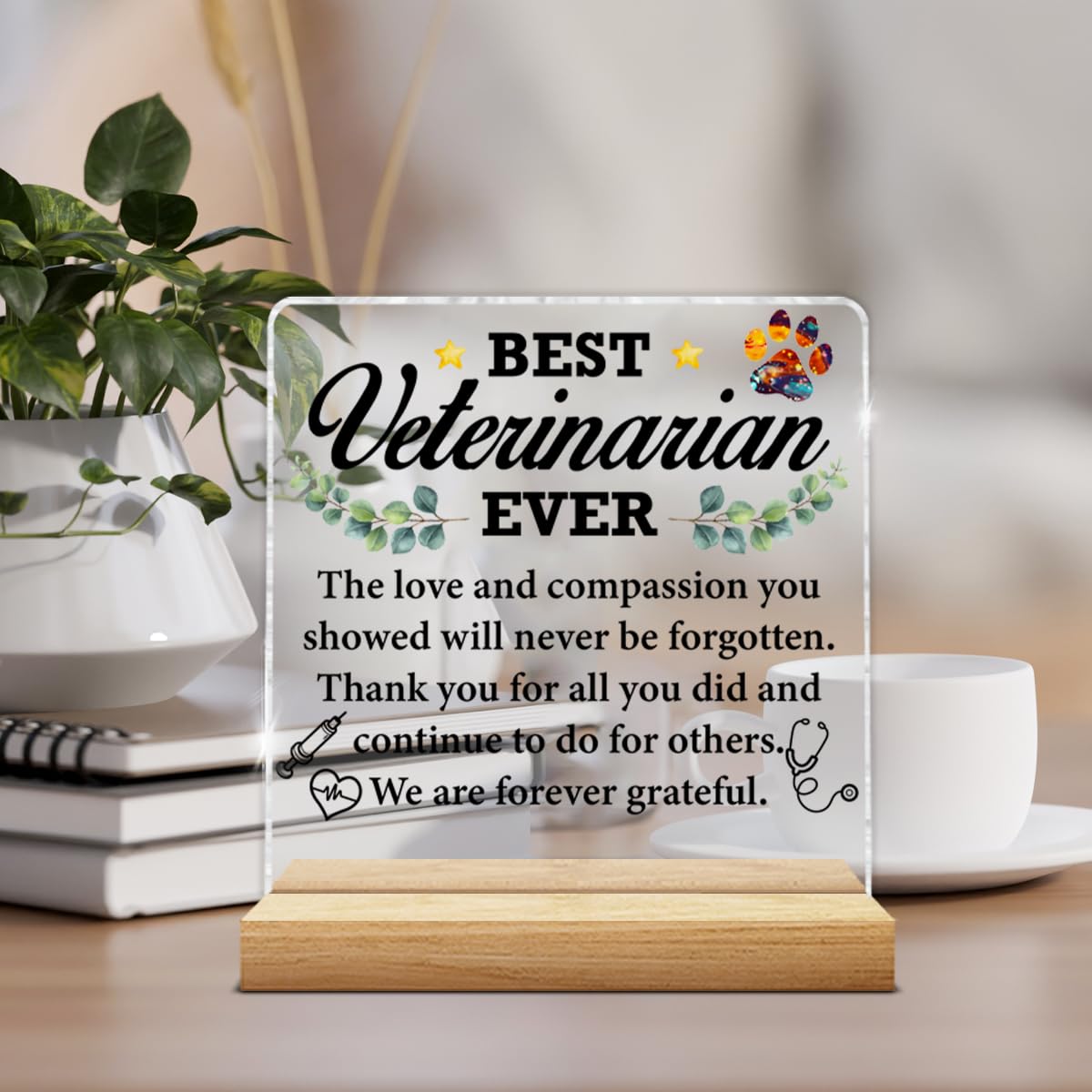 Best Veterinarian Gifts for Women Men, Thank You Gift for Veterinarians Veterinary Vet Tech Animal Doctor, Best Veterinarian Ever Gifts Acrylic Plaque Sign Decor