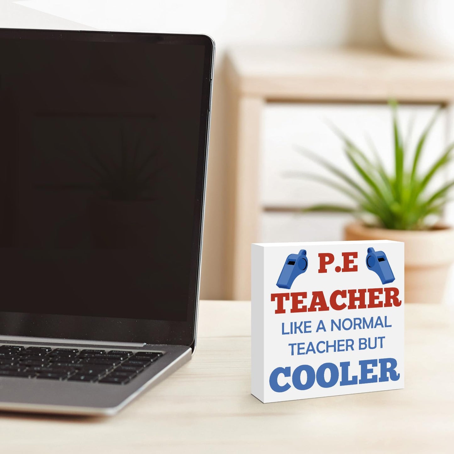 PE Teacher Appreciation Gifts for Women Men Christmas Birthday Thanksgiving Teachers' Day Retirement Back to School Graduation Physical Education Teacher Wooden Sign Desk Sign Decor