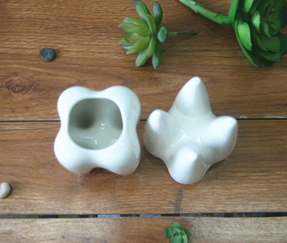Ceramic Tooth Shaped Pen Pencil Toothbrush Holder Pot Succulent Plant Pot Home Office School Dentists Gift Ideal Gifts for Women, Mom or Birthdays