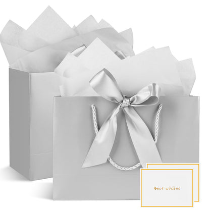 Gfractolux Medium Gift Bags With Tissue Paper, Cards, and Handles - 2 Pcs for Birthdays, Baby Shower, Wedding, Party Favor, Holiday Presents - 11"X7.9"X3.9" (Silver)