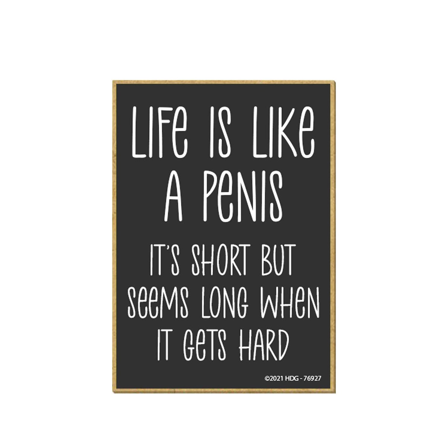 Honey Dew Gifts, Life is Like a Penis, 2.5 Inch by 3.5 Inch, Locker Decorations, Refrigerator Magnets, Decorative Funny Gag Gifts for Adults, Inappropriate Gifts, 76927