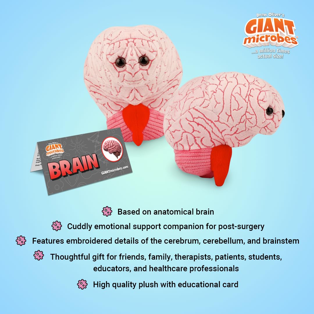 GIANT MICROBES Brain Organ Plush, Brain Model Anatomy, Psychology Gifts for Students, Medical Student Gift, Therapist Office Decor, Anatomy Models, Neuroscience Gifts, Neurology Gift
