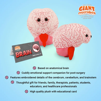 GIANT MICROBES Brain Organ Plush, Brain Model Anatomy, Psychology Gifts for Students, Medical Student Gift, Therapist Office Decor, Anatomy Models, Neuroscience Gifts, Neurology Gift