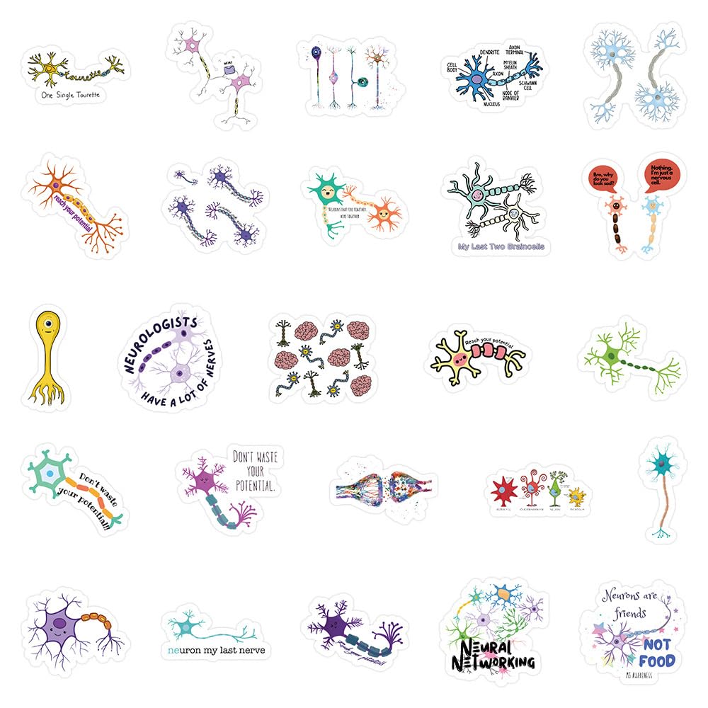 54 Pcs Neuron Stickers, Science Brain Cell Themed Stickers with Sizes 1.3-3 Inches, Waterproof Vinyl Stickers for Laptop Water Bottle Notebook, Educational Sticker for Science Lovers Kids Adults