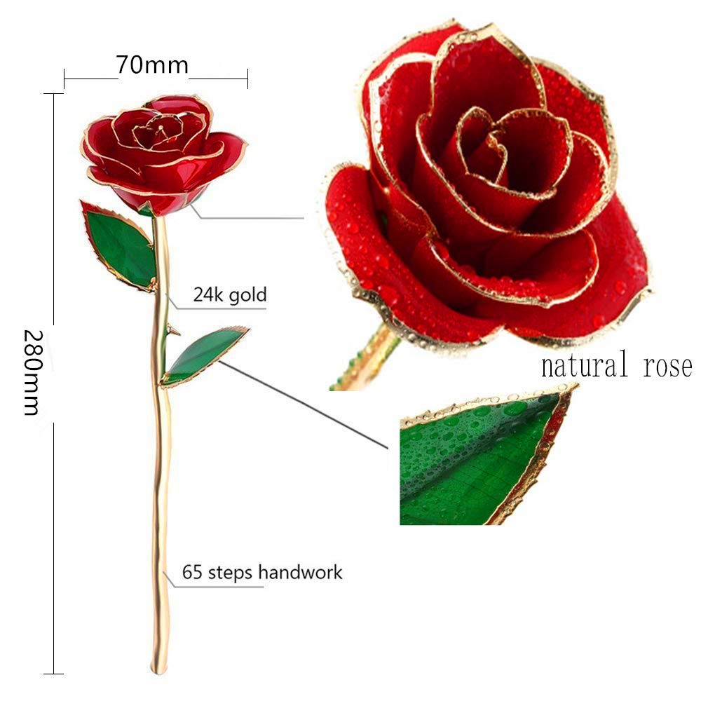 Gold Dipped Rose 24K with Gift Box, Stand & Writable Card – Valentines Day Gift for Her, Wife or Mom, Forever Preserved Rose - Romantic Flower Keepsake, Elegant Gift for Anniversary & Special Moments