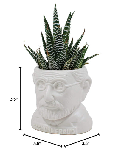 The Unemployed Philosophers Guild Sigmund Freud Bust Ceramic Planter