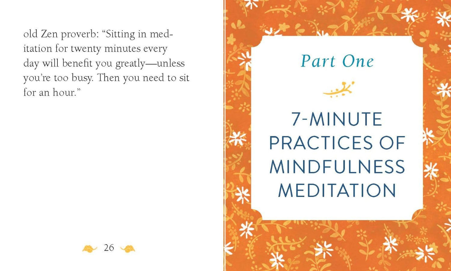 The Mini Book of Mindfulness: Simple Meditation Practices to Help You Live in the Moment (RP Minis)
